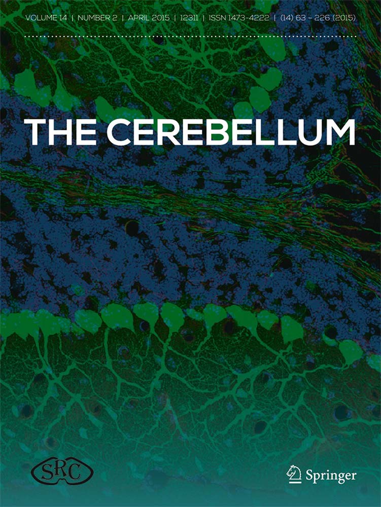 cerebellum2025.jpg