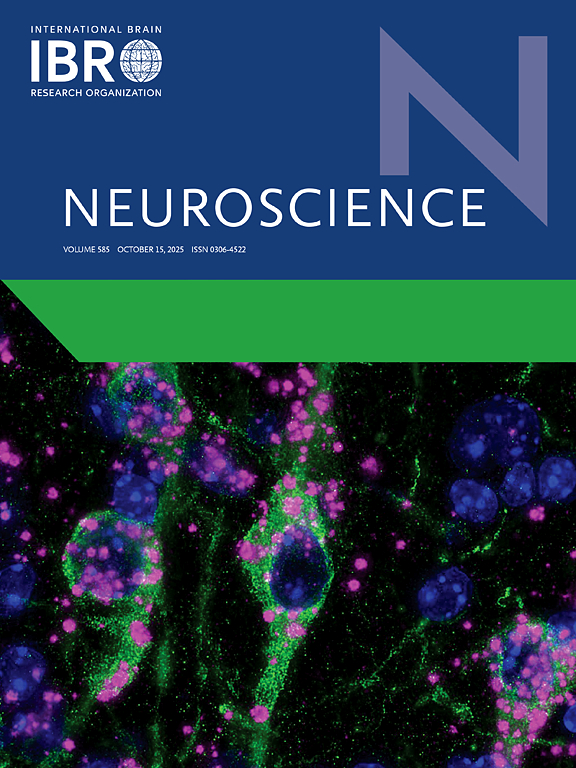 neurosciencenov25.jpg